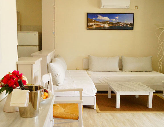 Spacious sitting room of the apartment