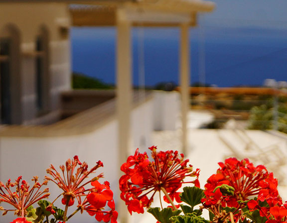 Sifnos hotel Petali Village