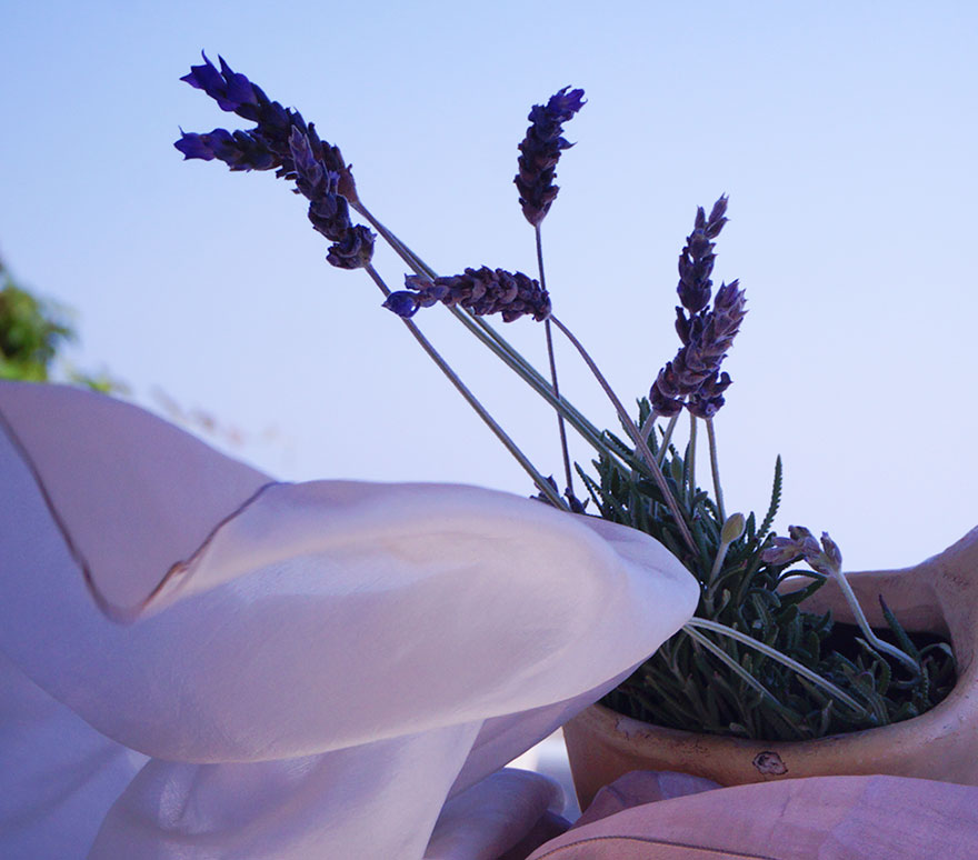 Receptions at hotel Petali village in Sifnos